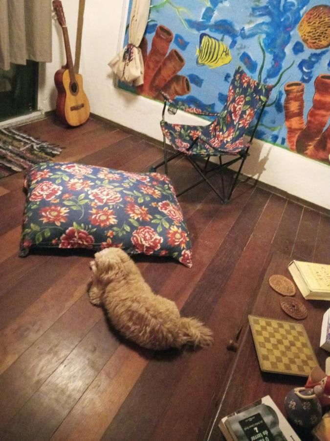 Bed&Potato Studio Ilha Grande - Casa Inteira Para Ate 4 Pessoas 아파트 외부 사진